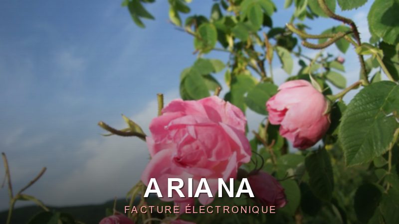 Facture électronique Ariana : digitalisez votre facturation en 2026