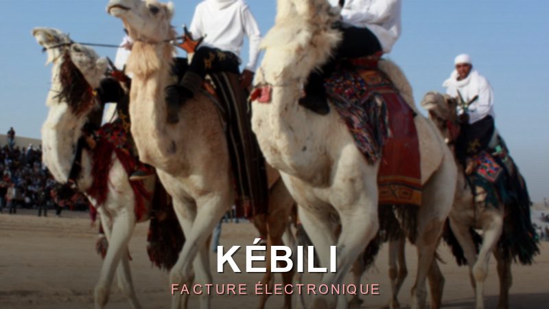 Facture électronique Kébili : facturer en règle au cœur du désert