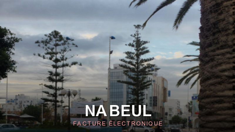 Facture électronique Nabeul : e-facturation pour les PME du Cap Bon