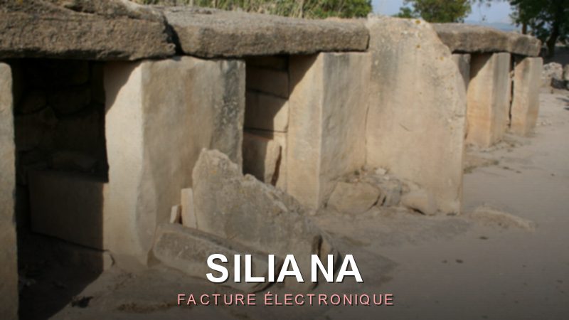 Facture électronique Siliana : digitalisez votre facturation en 2026