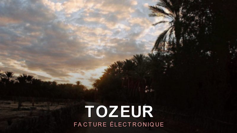 Facture électronique Tozeur : e-facture pour le tourisme et l'oasis