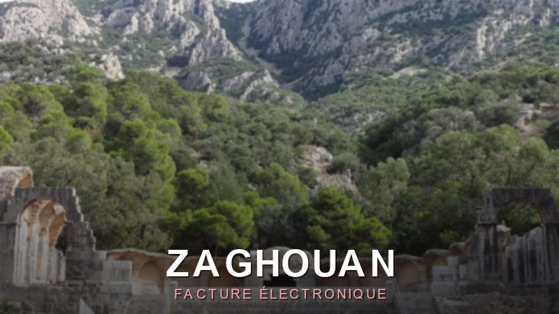 Facture électronique Zaghouan : se conformer au TTN en 2026